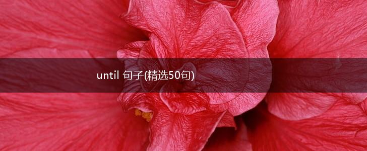 until 句子(精选50句),第1张