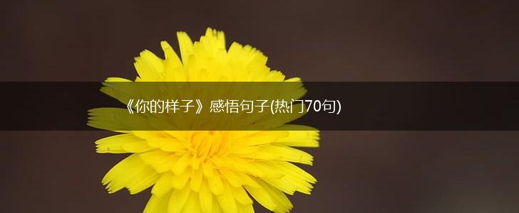 《你的样子》感悟句子(热门70句),第1张