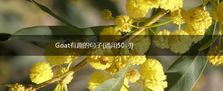 Goat有趣的句子(通用50句),第1张