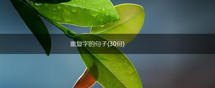 重复字的句子(30句),第1张