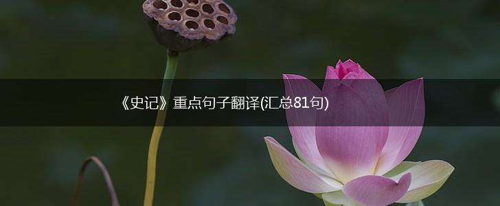 《史记》重点句子翻译(汇总81句),第1张