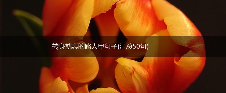 转身就忘的路人甲句子(汇总50句),第1张