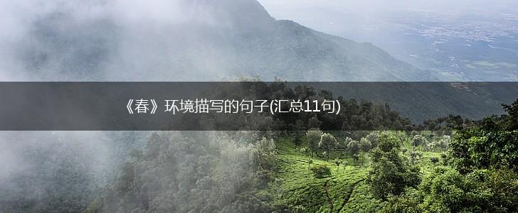 《春》环境描写的句子(汇总11句),第1张