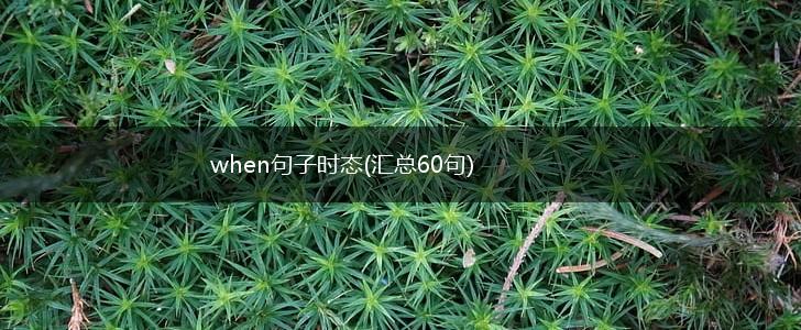 when句子时态(汇总60句),第1张