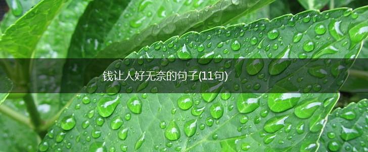 钱让人好无奈的句子(11句),第1张