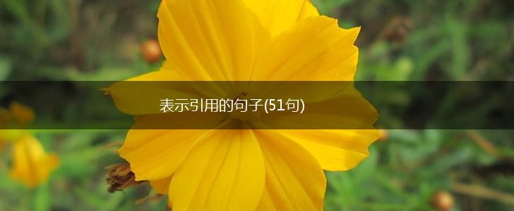 表示引用的句子(51句),第1张
