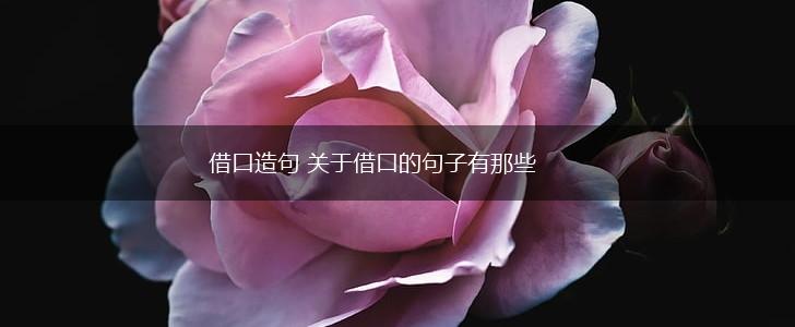 借口造句 关于借口的句子有那些,第1张