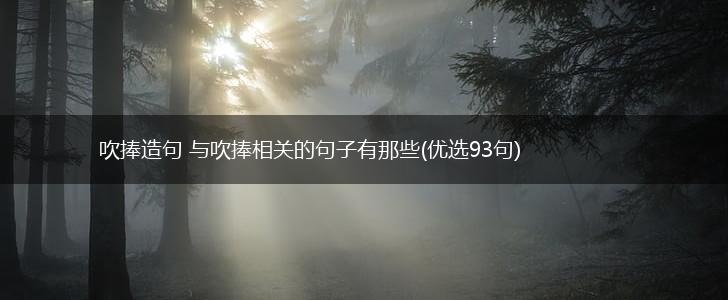 吹捧造句 与吹捧相关的句子有那些(优选93句),第1张