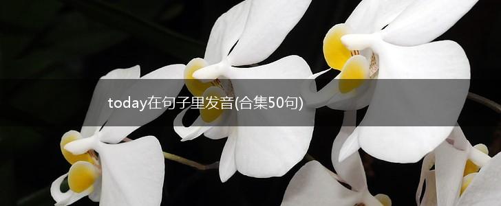 today在句子里发音(合集50句),第1张