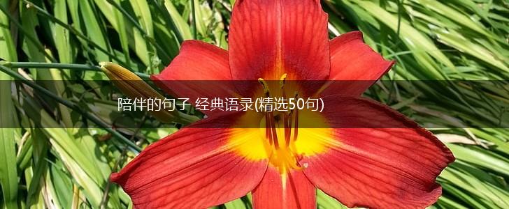 陪伴的句子 经典语录(精选50句),第1张