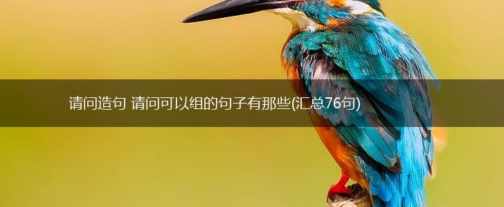 请问造句 请问可以组的句子有那些(汇总76句),第1张