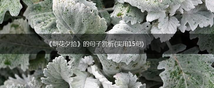 《朝花夕拾》的句子赏析(实用15句),第1张