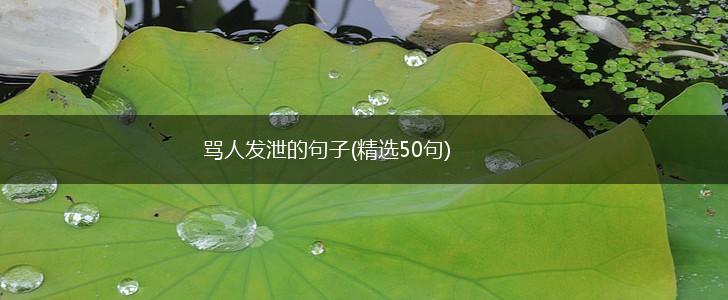 骂人发泄的句子(精选50句),第1张