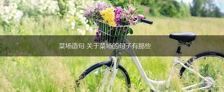 菜场造句 关于菜场的句子有那些,第1张