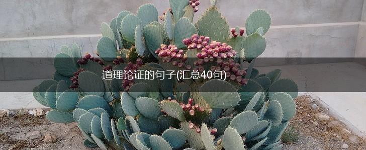 道理论证的句子(汇总40句),第1张