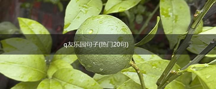 q友乐园句子(热门20句),第1张