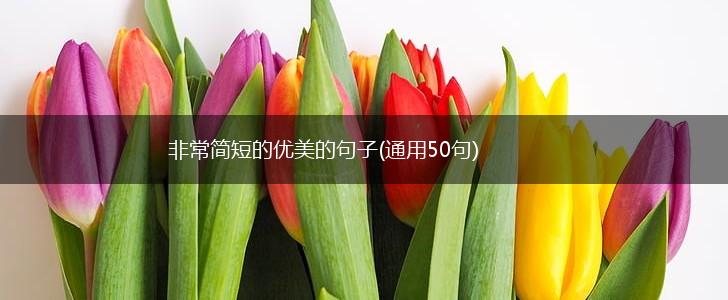 非常简短的优美的句子(通用50句),第1张