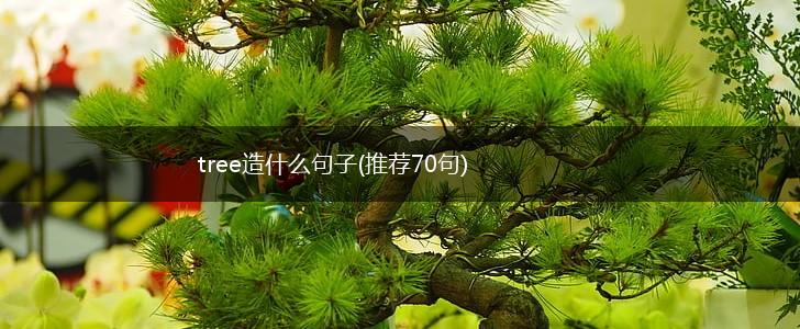 tree造什么句子(推荐70句),第1张