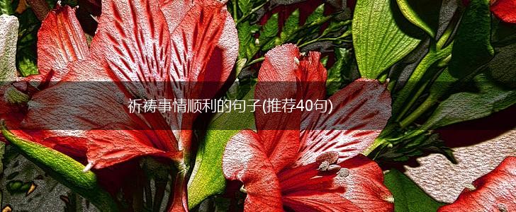 祈祷事情顺利的句子(推荐40句),第1张