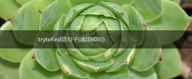 trytofind造句子(通用60句),第1张