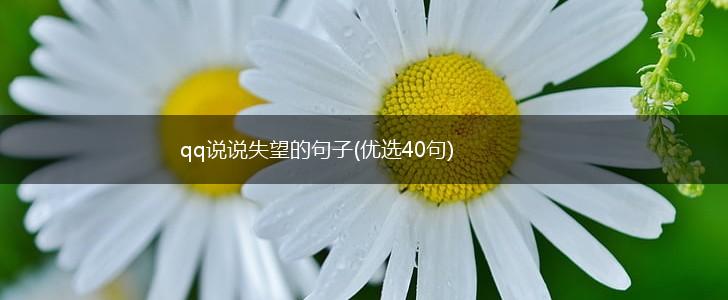 qq说说失望的句子(优选40句),第1张