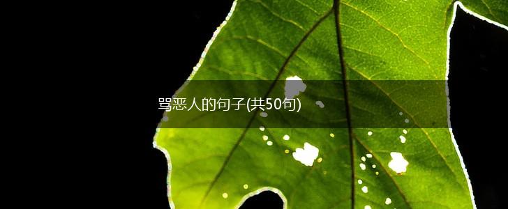 骂恶人的句子(共50句),第1张
