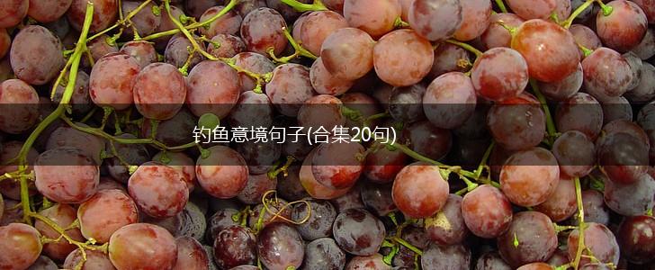 钓鱼意境句子(合集20句),第1张