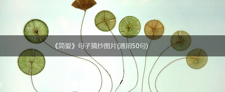 《简爱》句子摘抄图片(通用50句),第1张