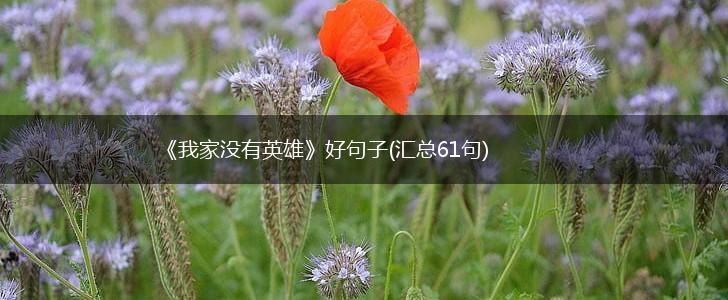《我家没有英雄》好句子(汇总61句),第1张