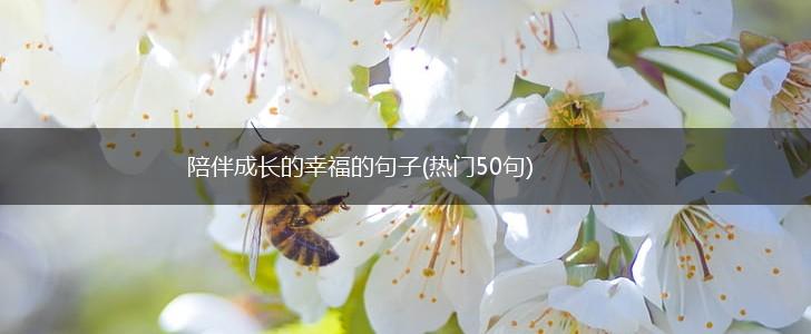 陪伴成长的幸福的句子(热门50句),第1张