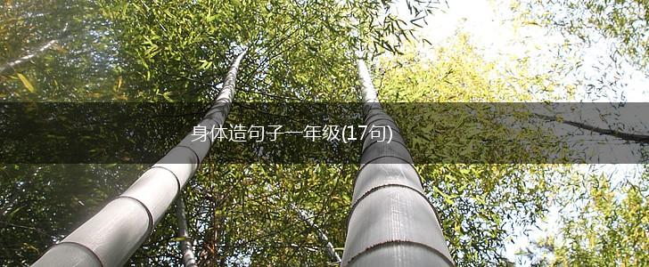 身体造句子一年级(17句),第1张