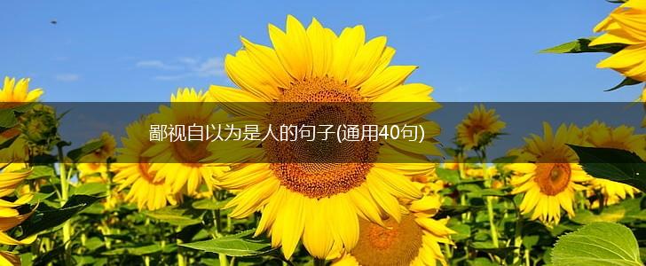 鄙视自以为是人的句子(通用40句),第1张
