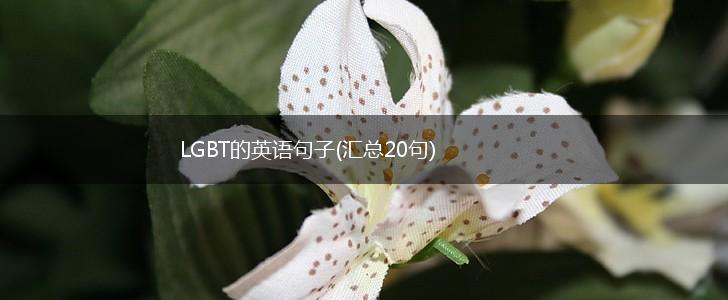 LGBT的英语句子(汇总20句),第1张