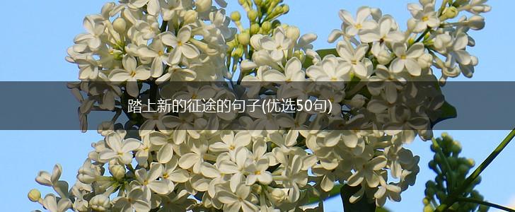 踏上新的征途的句子(优选50句),第1张