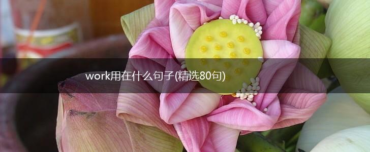 work用在什么句子(精选80句),第1张