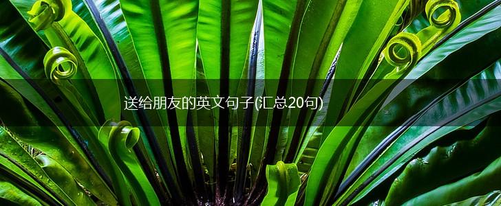 送给朋友的英文句子(汇总20句),第1张
