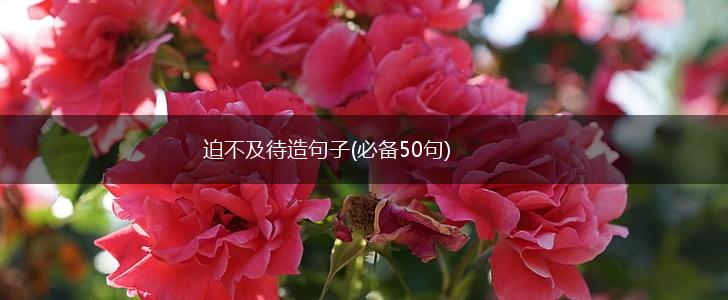迫不及待造句子(必备50句),第1张
