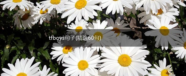 tfboys句子(精选60句),第1张