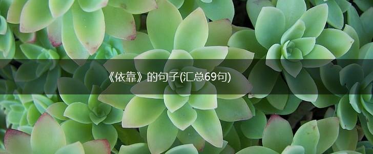 《依靠》的句子(汇总69句),第1张