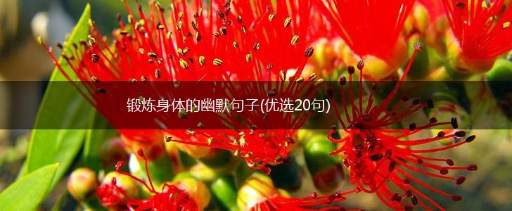 锻炼身体的幽默句子(优选20句),第1张