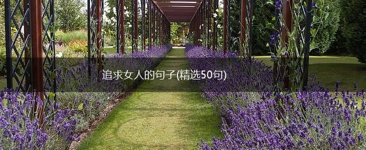 追求女人的句子(精选50句),第1张