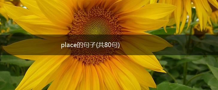 place的句子(共80句),第1张