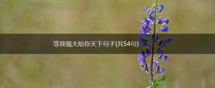 等我强大给你天下句子(共54句),第1张