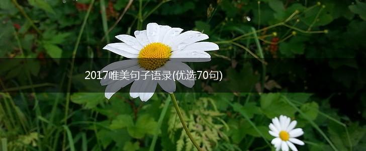 2017唯美句子语录(优选70句),第1张