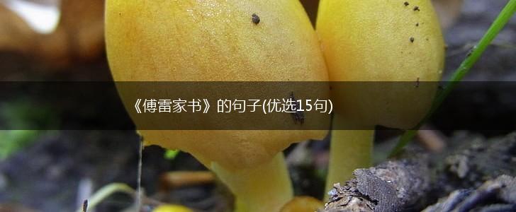 《傅雷家书》的句子(优选15句),第1张