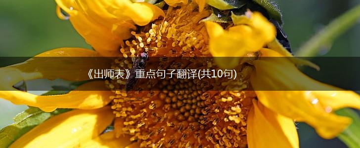 《出师表》重点句子翻译(共10句),第1张
