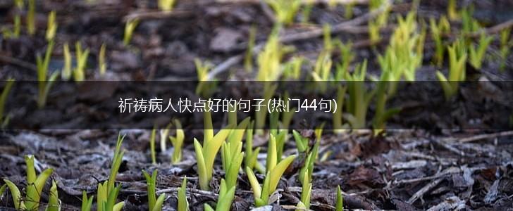 祈祷病人快点好的句子(热门44句),第1张