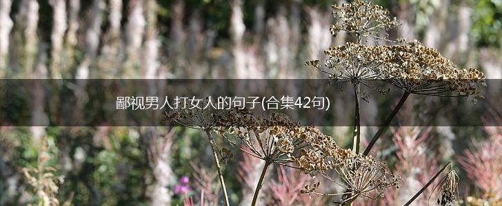 鄙视男人打女人的句子(合集42句),第1张