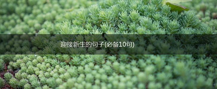 迎接新生的句子(必备10句),第1张