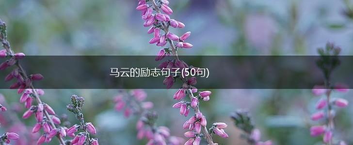 马云的励志句子(50句),第1张